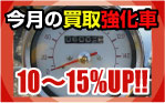 今週の強化買取車