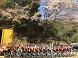 定休日、追加のお知らせ