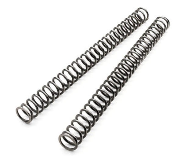 画像1: FORK SPRING SET 4.4N/MM (1)